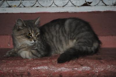 Прикрепленное изображение: DSC_0119.JPG